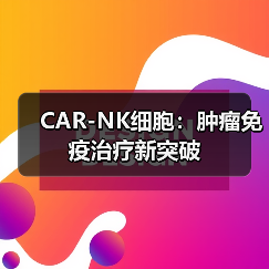 CAR-NK细胞：肿瘤免疫治疗新突破(图2)
