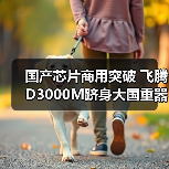 国产芯片商用突破 飞腾D3000M跻身大国重器购物车(图3) 国产芯片商用突破 飞腾D3000M跻身大国重器购物车(图3)