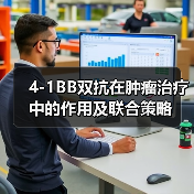 4-1BB双抗在肿瘤治疗中的作用及联合策略(图2)