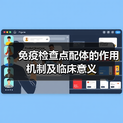 免疫检查点配体的作用机制及临床意义(图1)