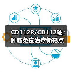CD112R/CD112轴：肿瘤免疫治疗新靶点(图3)
