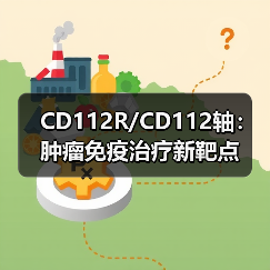 CD112R/CD112轴：肿瘤免疫治疗新靶点(图4)