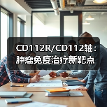 CD112R/CD112轴：肿瘤免疫治疗新靶点(图1)