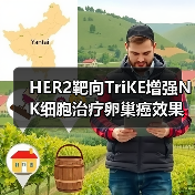 HER2靶向TriKE增强NK细胞治疗卵巢癌效果(图1)