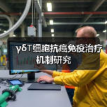 γδT细胞抗癌免疫治疗机制研究(图3) γδT细胞抗癌免疫治疗机制研究(图3)