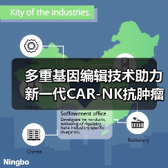多重基因编辑技术助力新一代CAR-NK抗肿瘤治疗突破(图3)