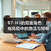 B7-H3的双面角色:肿瘤免疫中的激活与抑制(图4) B7-H3的双面角色:肿瘤免疫中的激活与抑制(图4)