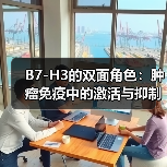 B7-H3的双面角色:肿瘤免疫中的激活与抑制(图2) B7-H3的双面角色:肿瘤免疫中的激活与抑制(图2)