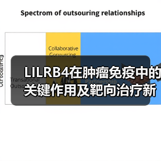 LILRB4在肿瘤免疫中的关键作用及靶向治疗新进展(图2) LILRB4在肿瘤免疫中的关键作用及靶向治疗新进展(图2)