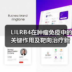 LILRB4在肿瘤免疫中的关键作用及靶向治疗新进展(图1) LILRB4在肿瘤免疫中的关键作用及靶向治疗新进展(图1)
