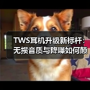 TWS耳机升级新标杆:无损音质与降噪如何颠覆聆听体验?(图1) TWS耳机升级新标杆:无损音质与降噪如何颠覆聆听体验?(图1)