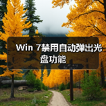 Win 7禁用自动弹出光盘功能(图4)