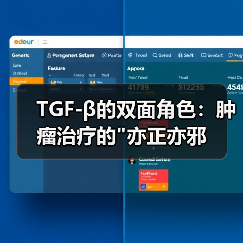 TGF-β的双面角色:肿瘤治疗的 TGF-β的双面角色:肿瘤治疗的亦正亦邪(图2)