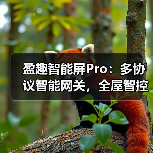 盈趣智能屏Pro:多协议智能网关,全屋智控(图2) 盈趣智能屏Pro:多协议智能网关,全屋智控(图2)