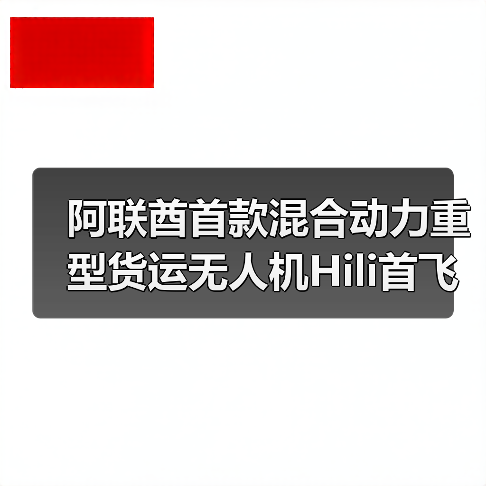 阿联酋首款混合动力重型货运无人机Hili首飞引领物流变革(图4) 阿联酋首款混合动力重型货运无人机Hili首飞引领物流变革(图4)