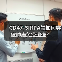 CD47-SIRPA轴如何突破肿瘤免疫逃逸？(图3)
