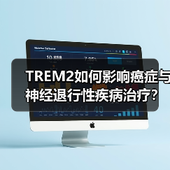 TREM2如何影响癌症与神经退行性疾病治疗?(图2) TREM2如何影响癌症与神经退行性疾病治疗?(图2)