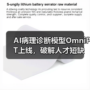 AI病理诊断模型OmniPT上线,破解人才短缺难题(图2) AI病理诊断模型OmniPT上线,破解人才短缺难题(图2)