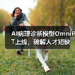 AI病理诊断模型OmniPT上线,破解人才短缺难题(图1) AI病理诊断模型OmniPT上线,破解人才短缺难题(图1)