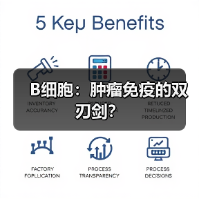 B细胞:肿瘤免疫的双刃剑?(图3) B细胞:肿瘤免疫的双刃剑?(图3)