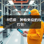 B细胞:肿瘤免疫的双刃剑?(图2) B细胞:肿瘤免疫的双刃剑?(图2)