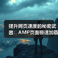 提升网页速度的秘密武器：AMP页面极速加载指南(图4)