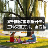 罗格朗智能墙壁开关:三种交互方式,全方位控制(图4) 罗格朗智能墙壁开关:三种交互方式,全方位控制(图4)