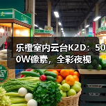 乐橙室内云台K2D：500W像素，全彩夜视(图3)