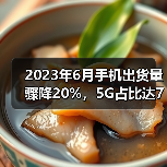 2023年6月手机出货量骤降20%，5G占比达78.2%(图1)