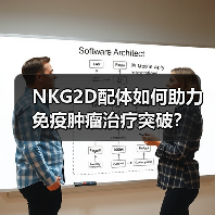 NKG2D配体如何助力免疫肿瘤治疗突破?(图3) NKG2D配体如何助力免疫肿瘤治疗突破?(图3)