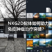NKG2D配体如何助力免疫肿瘤治疗突破?(图4) NKG2D配体如何助力免疫肿瘤治疗突破?(图4)