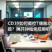 CD39如何调控T细胞功能?揭开肿瘤免疫新机制(图2) CD39如何调控T细胞功能?揭开肿瘤免疫新机制(图2)