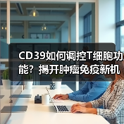 CD39如何调控T细胞功能?揭开肿瘤免疫新机制(图4) CD39如何调控T细胞功能?揭开肿瘤免疫新机制(图4)