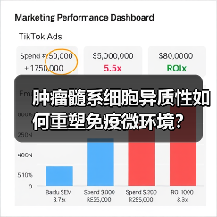 肿瘤髓系细胞异质性如何重塑免疫微环境？(图4)