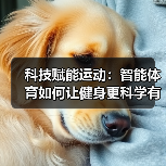 科技赋能运动：智能体育如何让健身更科学有趣？(图2)