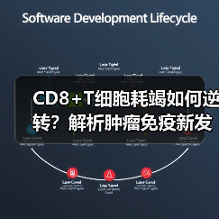 CD8+T细胞耗竭如何逆转?解析肿瘤免疫新发现(图3) CD8+T细胞耗竭如何逆转?解析肿瘤免疫新发现(图3)