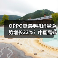 OPPO高端手机销量逆势增长22%?中国高端市场潜力待挖掘(图3) OPPO高端手机销量逆势增长22%?中国高端市场潜力待挖掘(图3)
