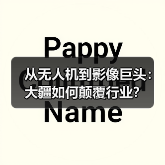 从无人机到影像巨头:大疆如何颠覆行业?(图4) 从无人机到影像巨头:大疆如何颠覆行业?(图4)