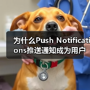 为什么Push Notifications推送通知成为用户重新参与的秘密武器?(图1) 为什么Push Notifications推送通知成为用户重新参与的秘密武器?(图1)
