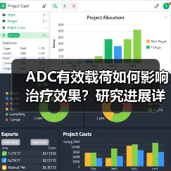 ADC有效载荷如何影响治疗效果?研究进展详析(图3) ADC有效载荷如何影响治疗效果?研究进展详析(图3)
