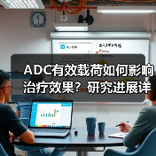 ADC有效载荷如何影响治疗效果?研究进展详析(图4) ADC有效载荷如何影响治疗效果?研究进展详析(图4)
