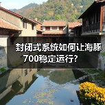 封闭式系统如何让海豚700稳定运行？(图4)