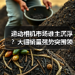 运动相机市场谁主沉浮?大疆销量强势突围领跑(图2) 运动相机市场谁主沉浮?大疆销量强势突围领跑(图2)