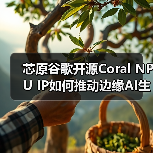 芯原谷歌开源Coral NPU IP如何推动边缘AI生态？(图3)