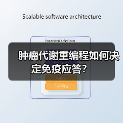 肿瘤代谢重编程如何决定免疫应答？(图2)