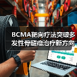 BCMA靶向疗法突破多发性骨髓瘤治疗新方向(图4) BCMA靶向疗法突破多发性骨髓瘤治疗新方向(图4)