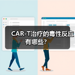 CAR-T治疗的毒性反应有哪些?(图1) CAR-T治疗的毒性反应有哪些?(图1)