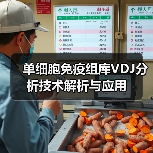 单细胞免疫组库VDJ分析技术解析与应用(图3)
