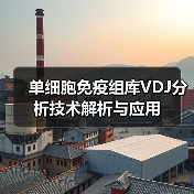 单细胞免疫组库VDJ分析技术解析与应用(图2)
