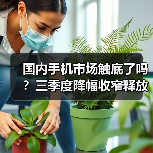 国内手机市场触底了吗?三季度降幅收窄释放回暖信号(图4) 国内手机市场触底了吗?三季度降幅收窄释放回暖信号(图4)